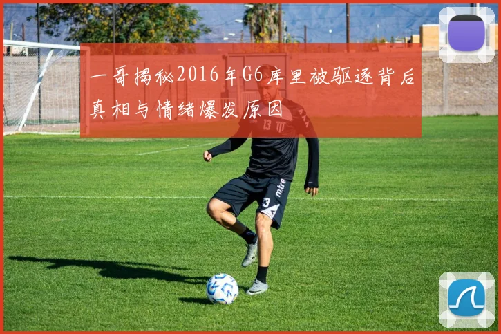 一哥揭秘2016年G6库里被驱逐背后真相与情绪爆发原因